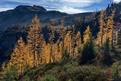 Agriculture secretary says agency is “full-bore ahead” on Forest Service reorganization
