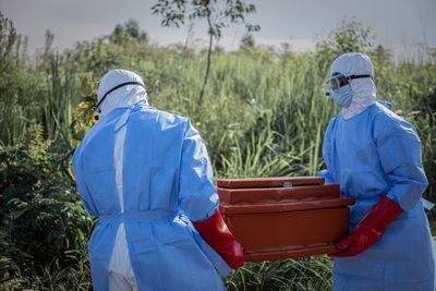 Ebola Reaches West Africa for the 1st Time in a Decade — What Happens Now?