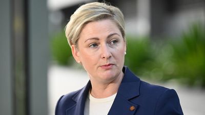 Embattled minister quits citing threats, health issues
