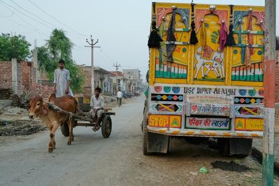 Takeaways from AP investigation into police shootings of alleged cow smugglers in India