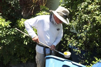 Seminole County Confirms Locally Acquired Dengue Case Near Orlando and Issues Its First Mosquito-Borne Illness Advisory of 2026