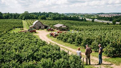 Ontario farmer rejects C$16 million offer to protect his 164-acre fruit farm
