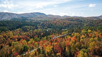 Québec, Kyoto and Wachau Valley: These are the world’s best places to visit for autumn foliage