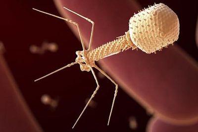 California startup says it has injected AI-designed virus into humans for first time