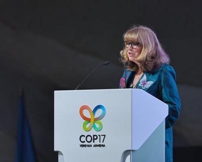 At Cop17, the pressure is on to rescue a deal that could end the destruction of nature