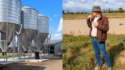 Australian farmer turns poultry waste into power, fertiliser and natural food dye