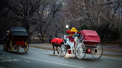 Central Park’s horse-drawn carriages face ban as New York votes to end tourist attraction