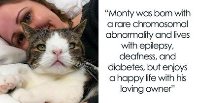 This Page Shared 32 Inspiring Stories Of Cats Who Found Love Despite Their Difficult Beginnings
