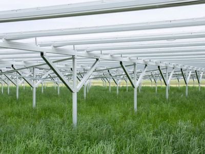 In 2019, Purdue began growing corn and soybeans around solar panels in Indiana; after 4 years, even the most shaded corn plots lost only 7.7 percent of their yield