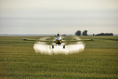EPA has failed to tackle cancer-linked pesticide pollution, lawsuit alleges