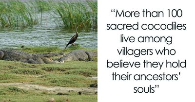 In Burkina Faso, A Drought Legend Explains Why Villagers Share Their Pond With Crocodiles