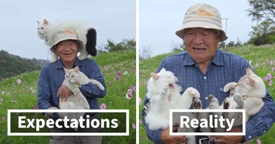 20 Hilarious Photos Of A Japanese Grandpa And His Cats Who Just Can’t Get Along For The Camera