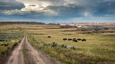 Montana conservation group bought 70,000-acre ranch once owned by Texas billionaires