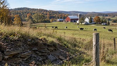 Shale Royalties Transform Incomes: Dairy family swaps debt for investments; tax records track the boom