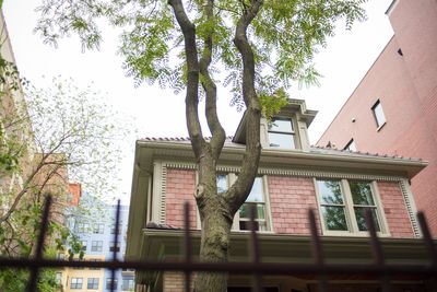 The $20 Garden Center Purchase That Could Damage Your House Years Later