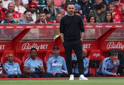 Roberto De Zerbi defends new Tottenham arrivals after summer overhaul as injury woes persist