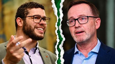 'Allegations of allegations': Greens senator speaks out