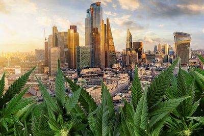 Is it time for London to legalise cannabis?