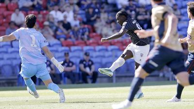 Toure strike secures point for Bulls against Jets