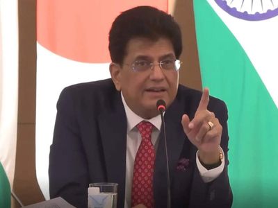 German businesses now see India as manufacturing, R&D and innovation hub: Piyush Goyal