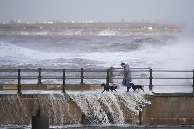 Storm Boelo latest: Second man killed by falling tree and 82,000 properties without power as 80mph gusts hit UK