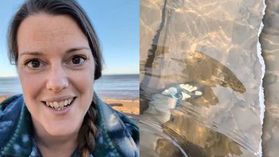 Wisconsin mother, son spot 100-year-old tugboat beneath lake Superior