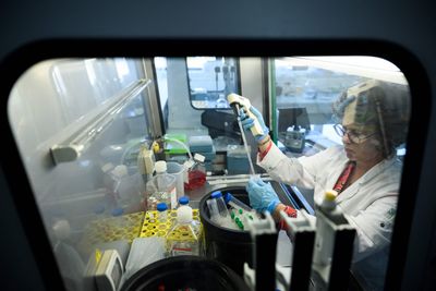 Personalized mRNA Melanoma Vaccine Cut Recurrence or Death Risk 42% in Phase 3 Trial, but Survival Data Pending