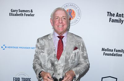 WWE legend Ric Flair hospitalised after Florida fall