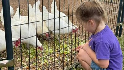 In 2016, a Texas couple took in 2 goats in their tiny South Austin backyard; 10 years later, Austin Farm Sanctuary covers 95 acres
