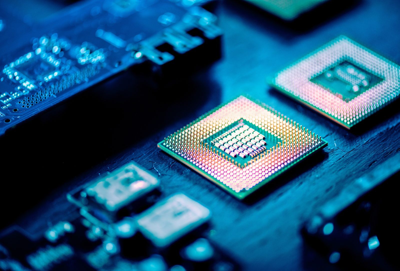 Nvidia vs. Broadcom: One Grew AI Revenue 221% Last…