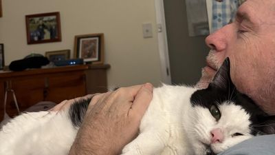 More than a tremor: the true toll of Parkinson's