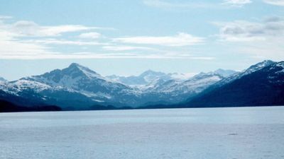 Exxon Spill’s Orca Toll: AT1 killer whale group collapses; recovery now deemed unlikely