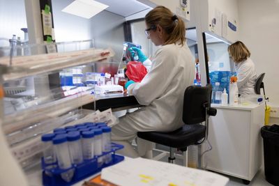 Pfizer's Atirmociclib Held Off Breast Cancer Progression for 9.4 Months Versus 6.6 After CDK4/6 Drugs Stopped Working