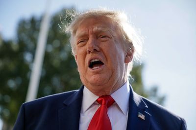 Trump deported nearly 1 million people in 18 months, but 71% of long-term immigrants had no criminal conviction, report finds