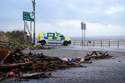 Man dies after being hit by falling tree during Storm Boelo