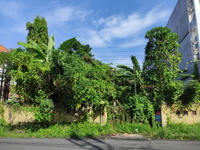 Why You Should Think Twice Before Planting Anything Along Your Foundation