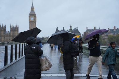 Driver killed after tree crushes car as London hit by high winds