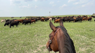 Texas billionaires buy 40,000-acre Nebraska ranch for $56 million cattle operation