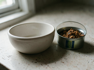 How much water should a cat drink? Why wet food changes everything