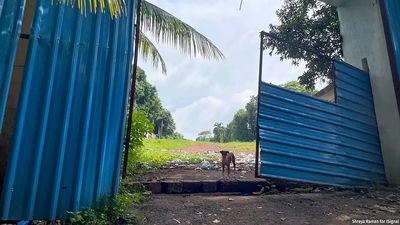 In Goa, real estate land grab threatens protected eco-sensitive slopes