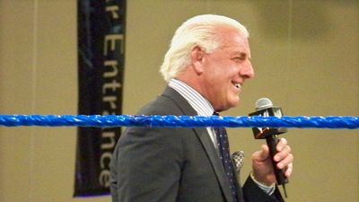 Ric Flair Apologises for 'Reckless' Facebook Posts During Hospital Stay as He Says He No Longer Owns Page