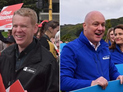 Voting opens in New Zealand for November 7 election