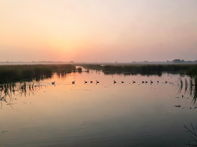 What a Ramsar Listing Actually Obliges India to Do for a Wetland