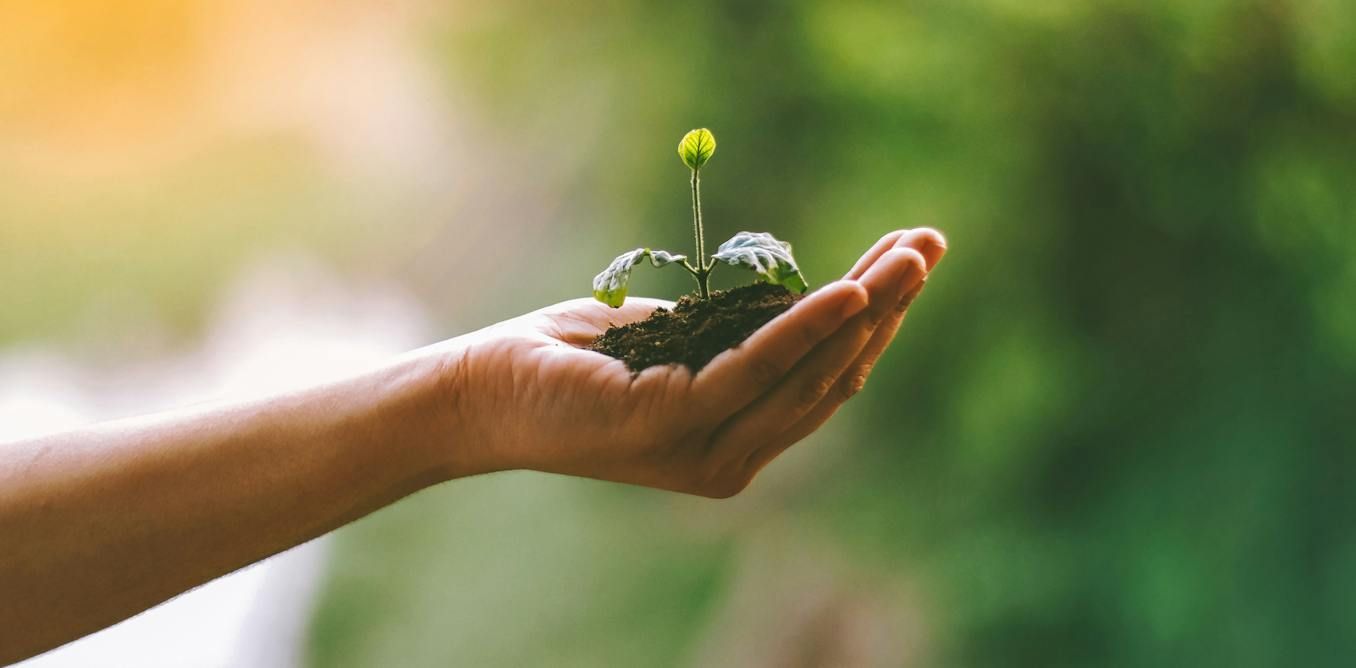 What is ‘human composting’ – and how does it work?