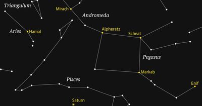 Starwatch: Bright stars of Pegasus make this distinctive constellation easy to see