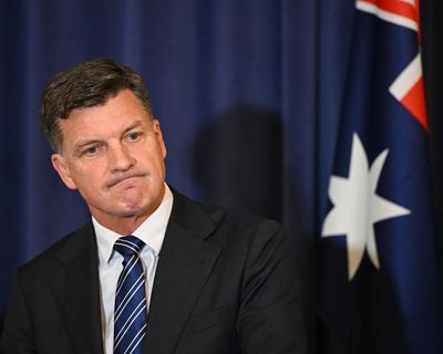 Angus Taylor criticised for ‘tone deaf’ response to alleged attack on Helen Haines