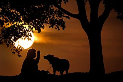 How daylight saving time changes affect you and what you can do about it