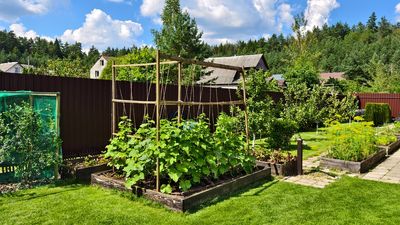 Can You Be Forced to Remove a Vegetable Garden From Your Front Yard?