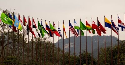 “How Many Can You Identify Correctly?”: 19 Countries With Surprisingly Similar Flags