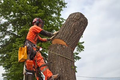 One of America’s Deadliest Jobs Pays Less Than $50K a Year